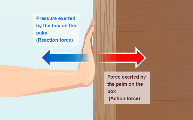 [Hanlun Smart Classroom] Newton’s Third Law of Motion